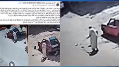 الداخلية تكشف ملابسات فيديو الاعتداء على كلاب صغيرة بمدينة نصر