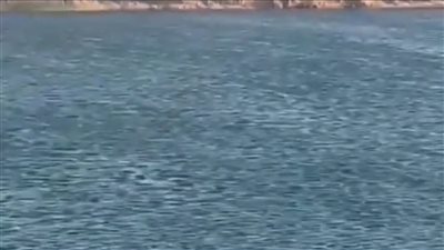 بحيرة البهنسا في المنيا، محاجر رملية مهجورة تتحول إلى تجمع مائي يثير الجدل (فيديو وصور) 