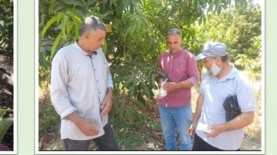 زراعة الشرقية: جهود مكثفة للنهوض بالقطاع الزراعي بههيا وأبو حماد 