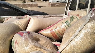 تحرير 81 مخالفة تموينية في حملة مكبرة على أسواق الفيوم 