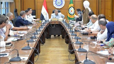 محافظ الدقهلية يبحث توصيل المرافق للامتدادات العمرانية بالمنصورة وطلخا