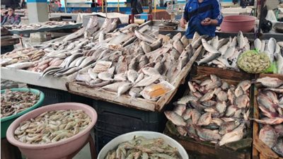 ثمنه للتصدير 27 وللمحلي 100 جنيه، خبير يكشف سر زيادة سعر البلطي على المصريين فقط