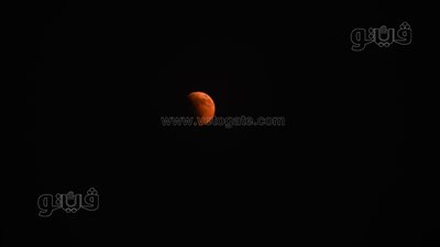 أخبار مصر اليوم: موقف وزارة الأوقاف من تهجير الشعب الفلسطيني.. ووفود أجنبية ترصد القمر الدموي بسماء حلوان.. تأثير زلزال تركيا على القاهرة