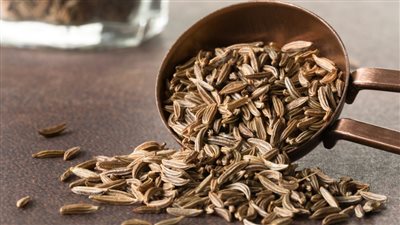 فوائد الكراوية، تقوي المناعة وتخفض الكوليسترول وتدر الحليب للمرضعات 