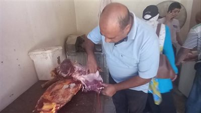 ضبط 7.7 طن دواجن غير صالحة ولحوم مذبوحة خارج السلخانة بالقليوبية 