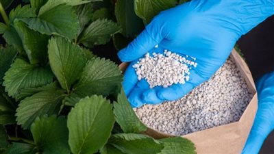 طن اليوريا المخصوص يرتفع 477 جنيها، أسعار الأسمدة اليوم في الأسواق