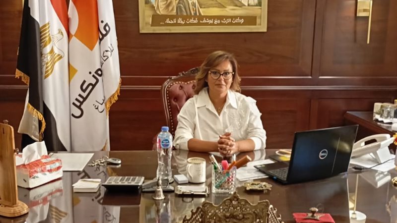 المهندسة إنجي فلتس