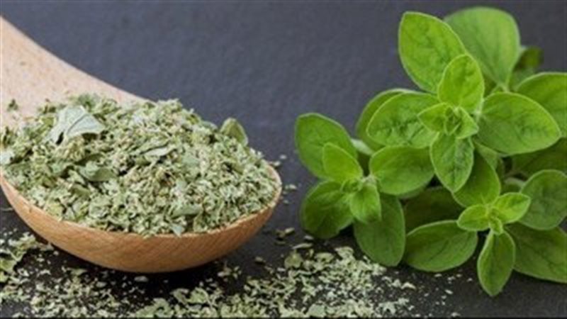 البردقوش، فيتو