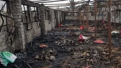 حريق يلتهم مزرعة دواجن بالشرقية ونفوق 3 آلاف فرخ في دقائق