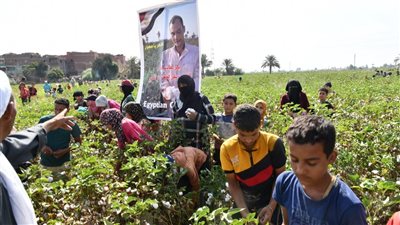 محافظ الفيوم يفتتح موسم جني القطن (صور)