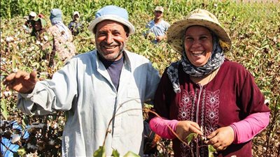 الزراعة في عيد الفلاح: ندعم المزارعين ونسعى لتطوير الخدمات.. 15 ألف حقل إرشادي خلال عام للتوعية بالنظم الحديثة وارتفاع الصادرات الزراعية إلى 7 ملايين طن