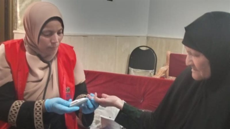 حملة ١٠٠ يوم صحة،فيتو