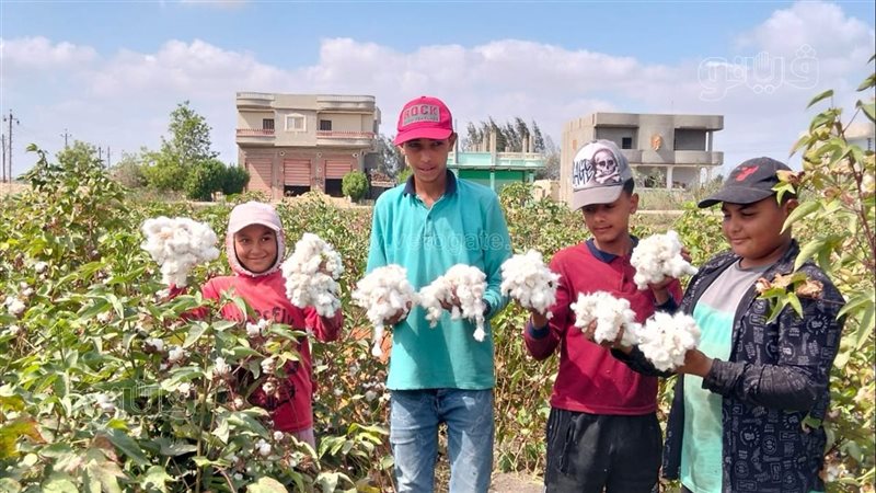 فرحة الأطفال بجني