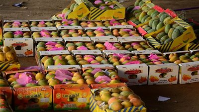 أسعار المانجو اليوم الأربعاء، ارتفاع العويسي والزبدية وقفزة جنونية في الفص 