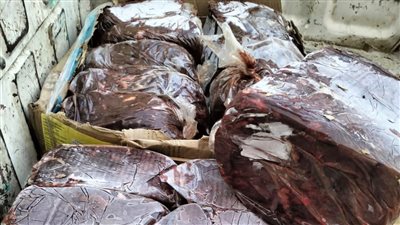 تحرير 96 مخالفة تموينية في حملة مكبرة على أسواق الفيوم 