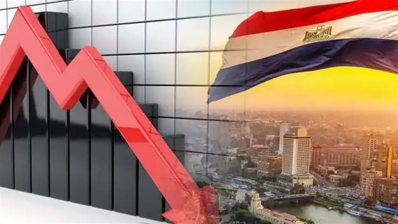التضخم في مصر، فيتو