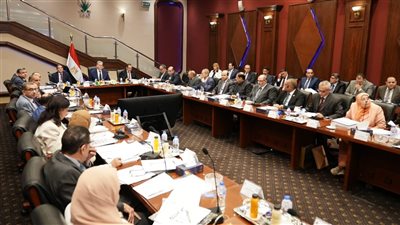 كريم بدوي: المسح السيزمي أهم المحفزات لجذب شركات للاستثمار في قطاع البترول 