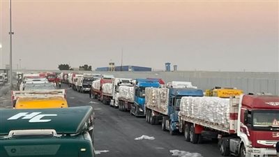 الهلال الأحمر المصري يرسل 2500 طن مساعدات إلى غزة 