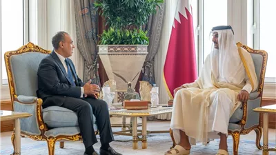 وزير الخارجية ينقل رسالة تضامن من الرئيس السيسي إلى أمير قطر (صور)