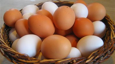 سعر كرتونة البيض اليوم الخميس في بورصة الدواجن