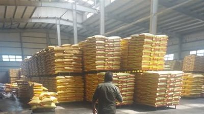 وزير الزراعة: سنضرب بيد من حديد كل من يحاول الإضرار بثرواتنا الحيوانية