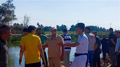 غيبوبة سكر سبب سقوط سيارة في ملاحة العجيزي بطنطا (فيديو)