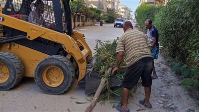 الوحدة المحلية برأس البر تطلق حملات نظافة يومية بالشواطئ والامتداد العمراني (صور)