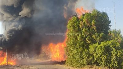 اندلاع حريق في خط غاز طبيعي بأسوان