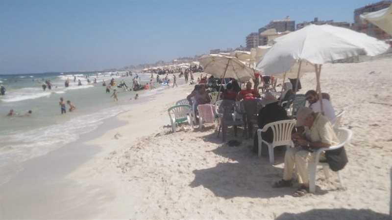 الاسكندريه 