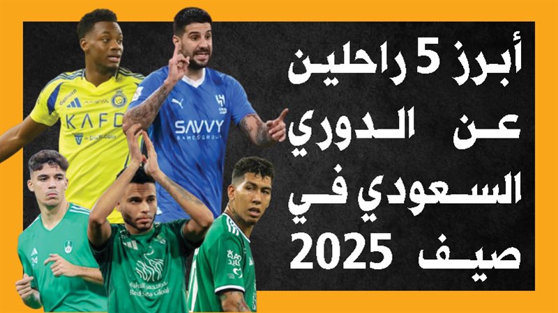 ألكسندر ميتروفيتش،