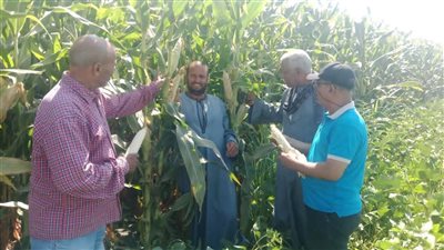 زراعة أسيوط: برامج توعية زراعية لتعظيم الاستفادة من المخلفات وتحويلها لسماد