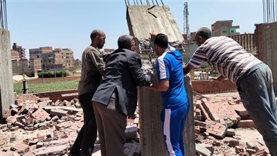 إزالة 447 حالة تعد على أملاك دولة وأراض زراعية بالدقهلية (صور)