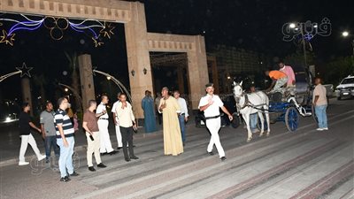 حملة لرفع الإشغالات بكورنيش النيل والحدائق والمتنزهات العامة بأسوان