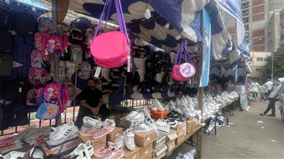 محافظ الإسكندرية: معارض 