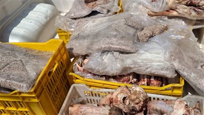 تحرير 90 مخالفة تموينية في حملة مكبرة علي أسواق الفيوم