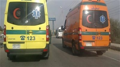 العثور على جثة مجهولة داخل عشة بأرض زراعية في ميت غمر