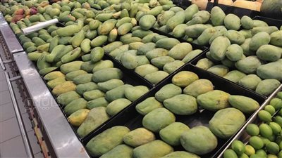  أسعار المانجو اليوم الأحد 14 سبتمبر 2025، ارتفاع يضرب 9 أصناف أكبرها في العويسي 