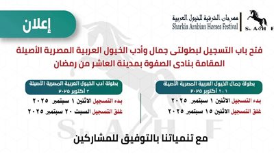 غلق باب التسجيل لبطولة مهرجان الخيول بالشرقية غدا 