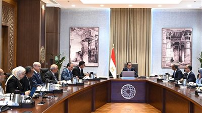 رئيس الوزراء يتابع الخطة التنفيذية للتوسع في إقامة محطات تحلية مياه البحر