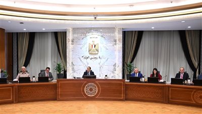 مدبولي يتابع جهود توفير الأدوية والمستلزمات الطبية وإجراءات توطين صناعة الدواء