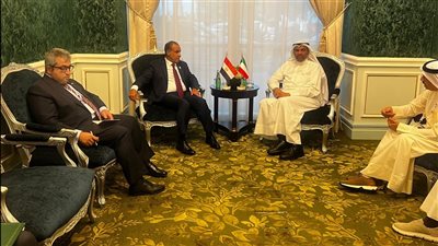 وزير الخارجية ونظيره الكويتي يرفضان الاعتداء على سيادة الدول العربية والمساس بأمنها