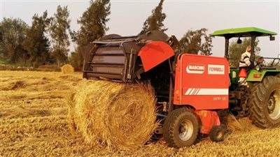 للقضاء على السحابة السوداء، تجميع 12780 طن قش أرز فى بداية الحصاد بالشرقية