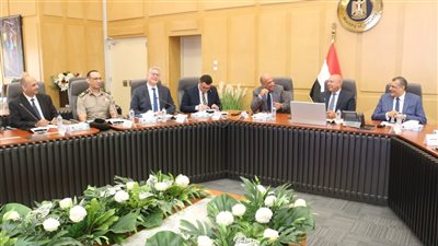 الأعلى للطاقة يناقش توفير احتياجات المشروعات الصناعة الاستراتيجية 