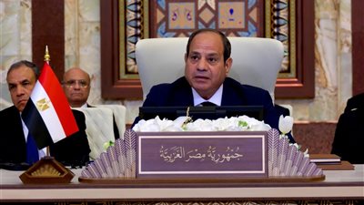  السيسي: إسرائيل تسعى لتحويل المنطقة إلى ساحة مستباحة للاعتداءات 