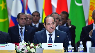  السيسي: سلوك إسرائيل منفلت ومزعزع للاستقرار الإقليمي ولا يمكن السكوت عنه 
