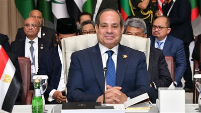 السيسي: نتطلع أن يمثل مؤتمر حل الدولتين فى نيويورك محطة مفصلية للقضية الفلسطينية