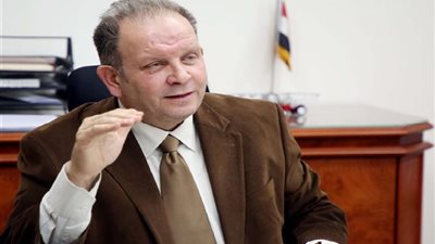 المالية: طرح مشروعات جديدة بـ 30 مليار جنيه ضمن برنامج الشراكة مع القطاع الخاص