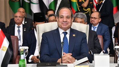 السيسي: الممارسات الإسرائيلية تجاوزت كافة الخطوط الحمراء