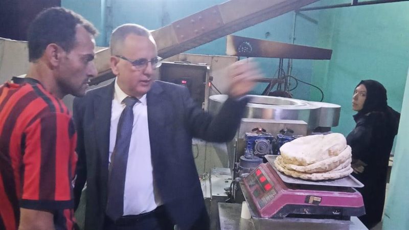 حملات تموينية بالدقهلية،