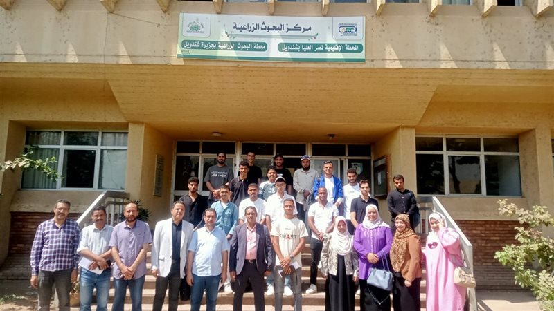 دورة تدريبية في مجال